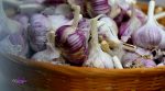 Similkameen garlic